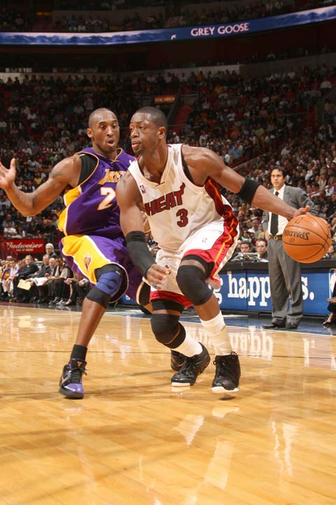 术多样性允 术多样性允