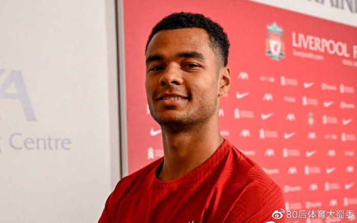 效率惊人 效率惊人