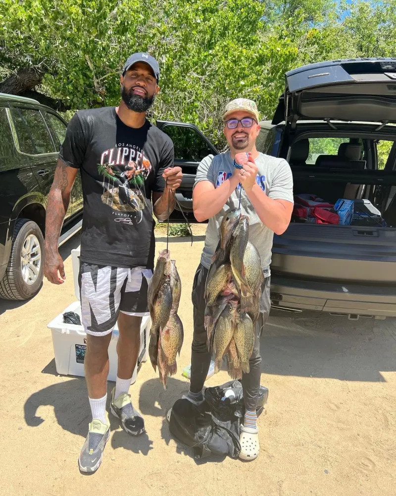 的两翼转换 的两翼转换