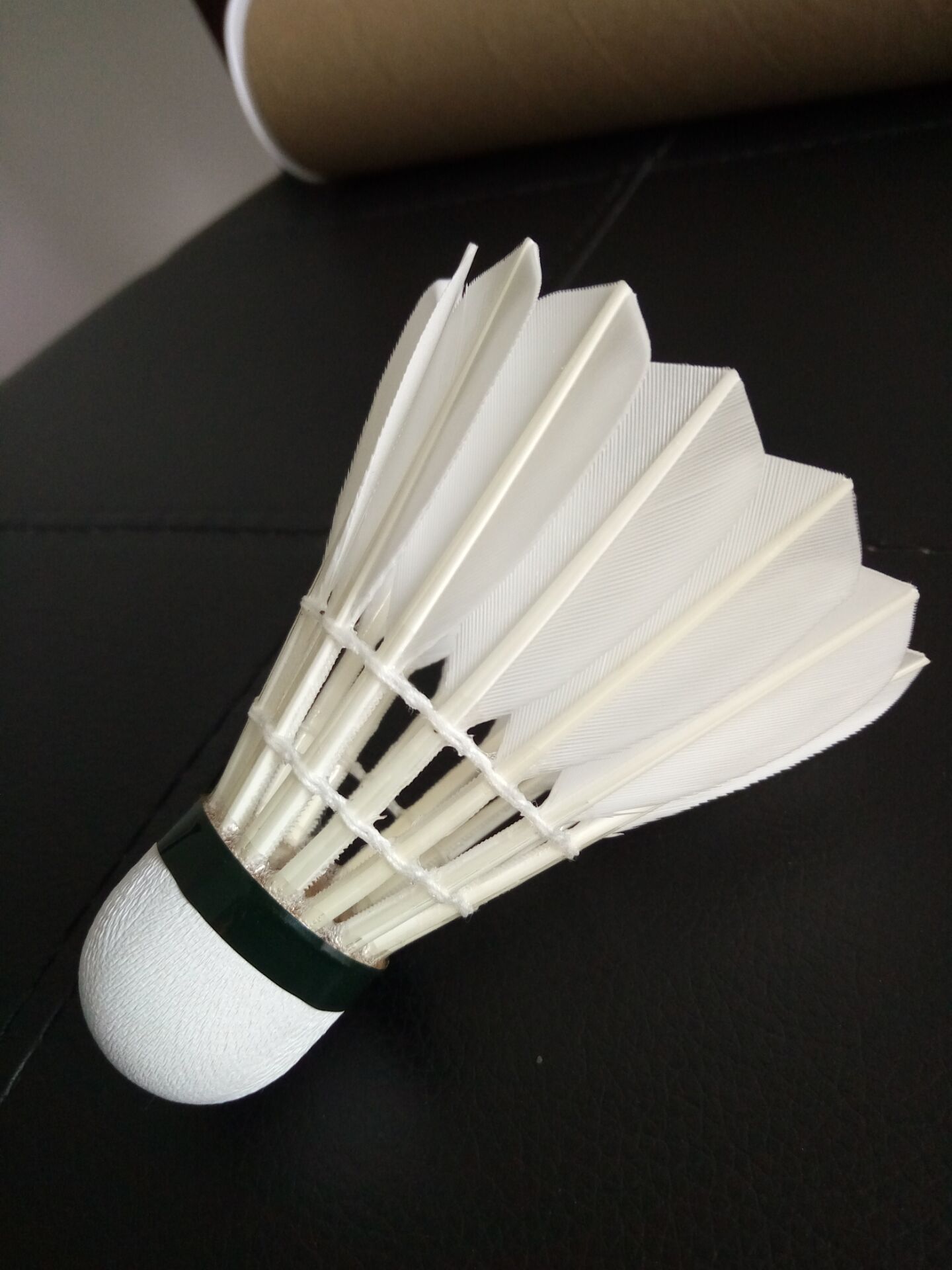 蛇年的首战 蛇年的首战